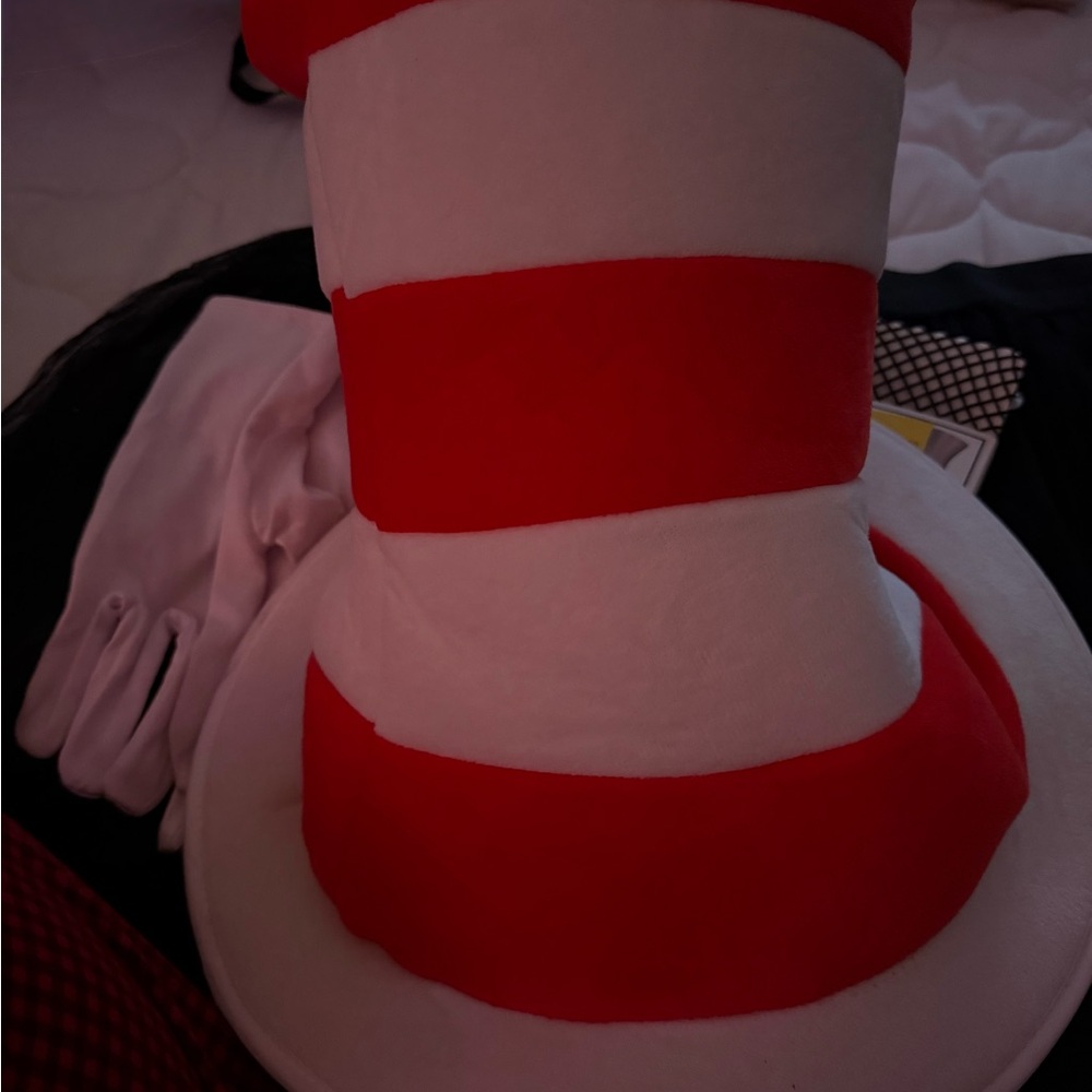 Cat in the hat halloween costume